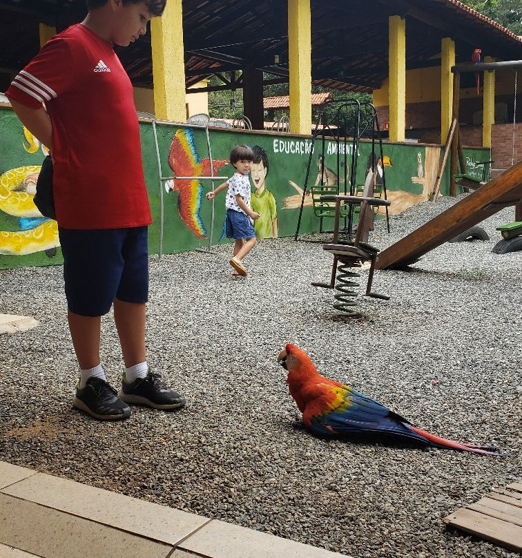 Joãozinho da Matinha Reserva Biológica景点图片