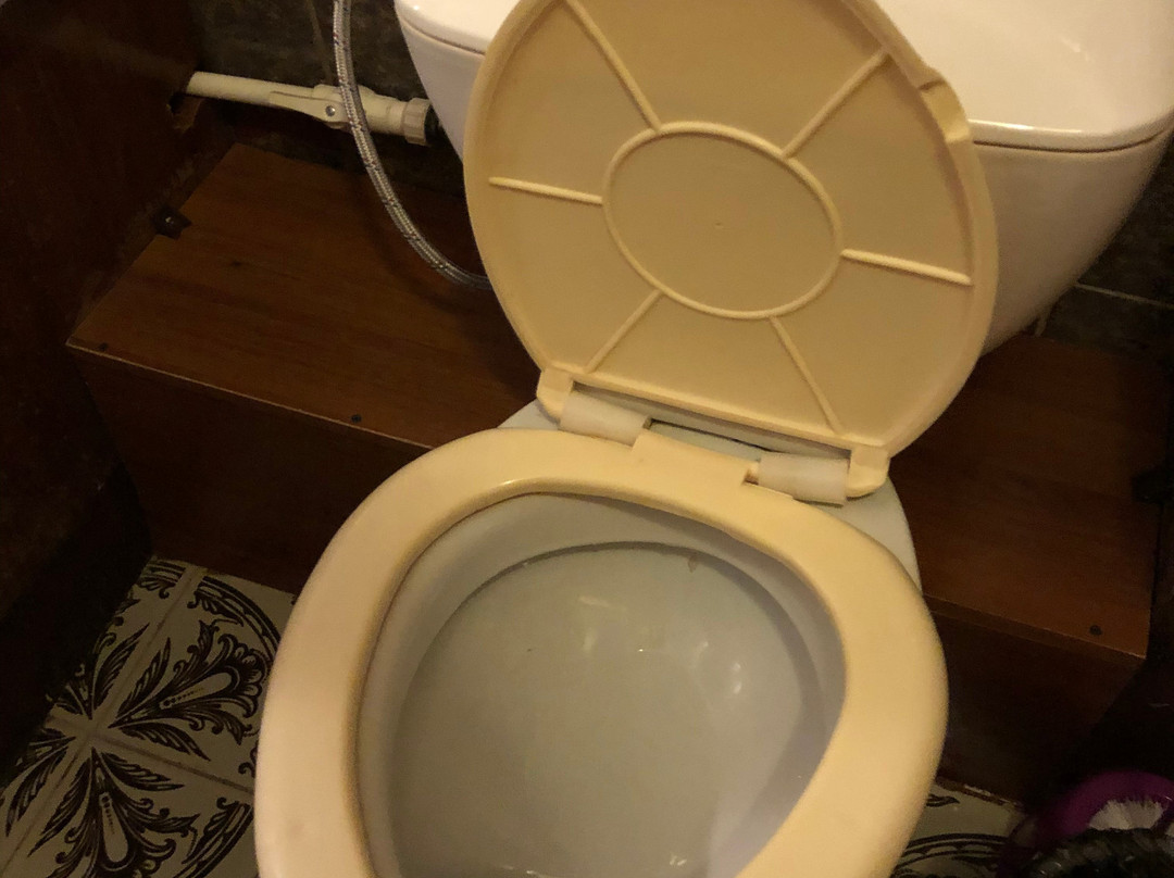 伏尔加酒店主图