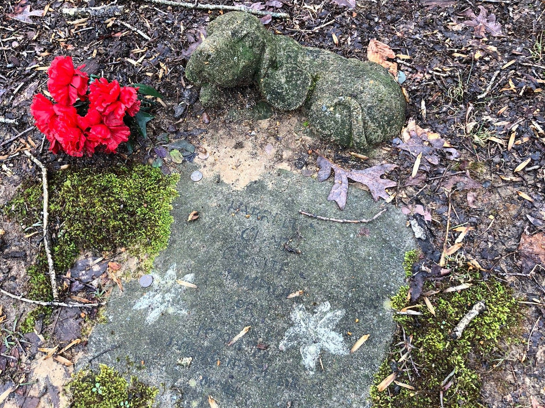 Key Underwood Coon Dog Memorial Graveyard景点图片