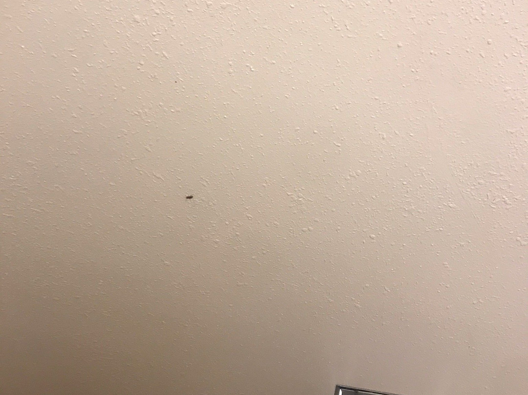 费城霍舍姆戴斯酒店主图