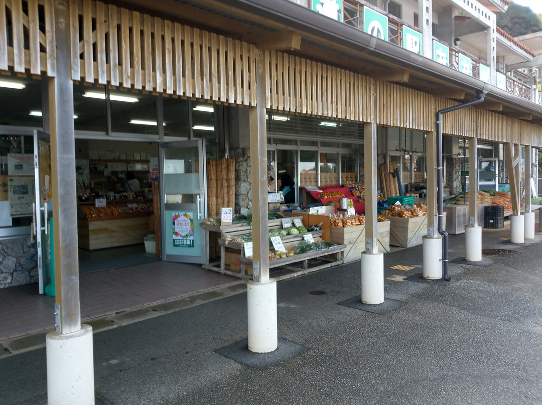 Michi no Eki Ogimi景点图片