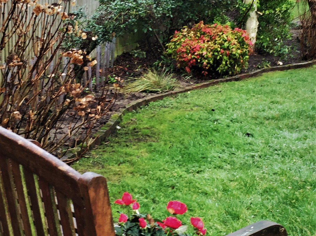Tenterden Millennium Garden景点图片
