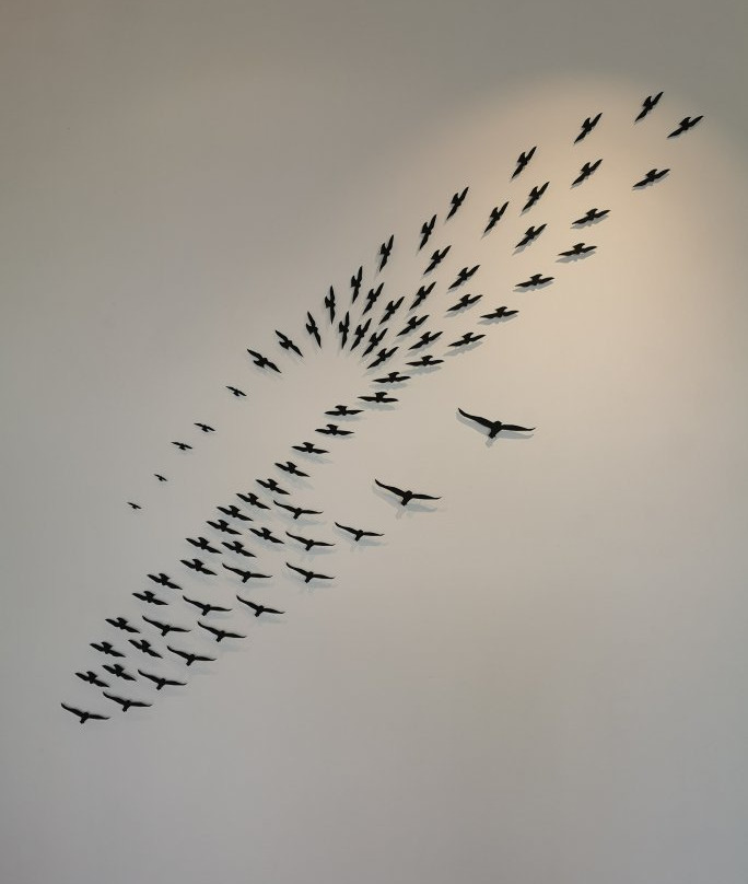 TOI Gallery-奥克兰必去景点