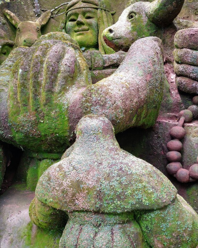 Jardim do Nêgo景点图片