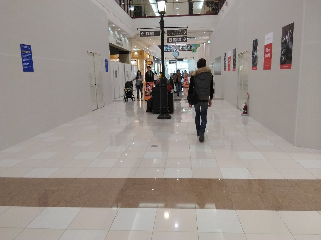 Peony Walk Higashimatsuyama-东松山市必去景点