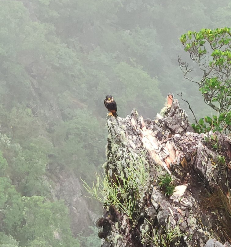 Cachoeira Ponte De Pedra-Cavalcante必去景点