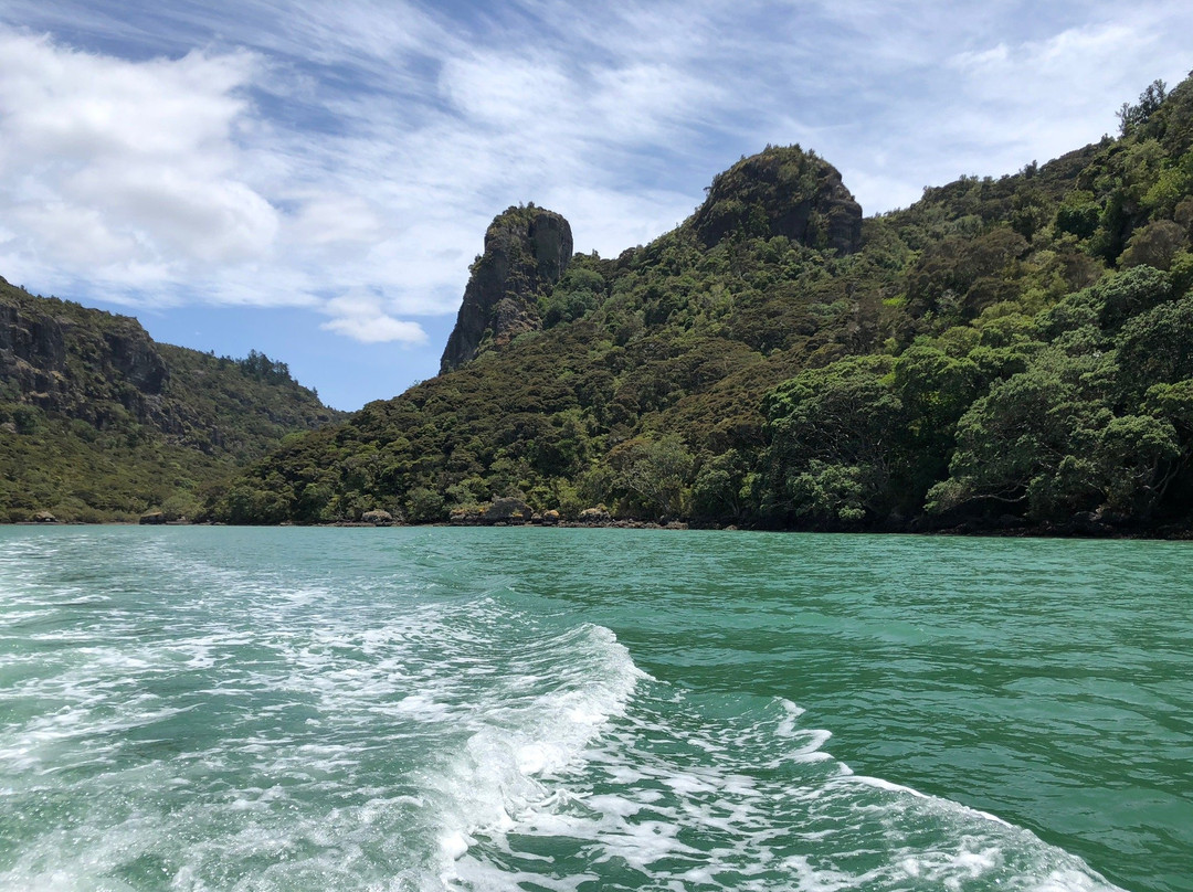 Whangaroa Harbour Water Transport景点图片