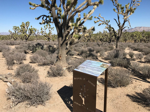 Desert Wonder Tours-哈瓦苏湖城必去景点