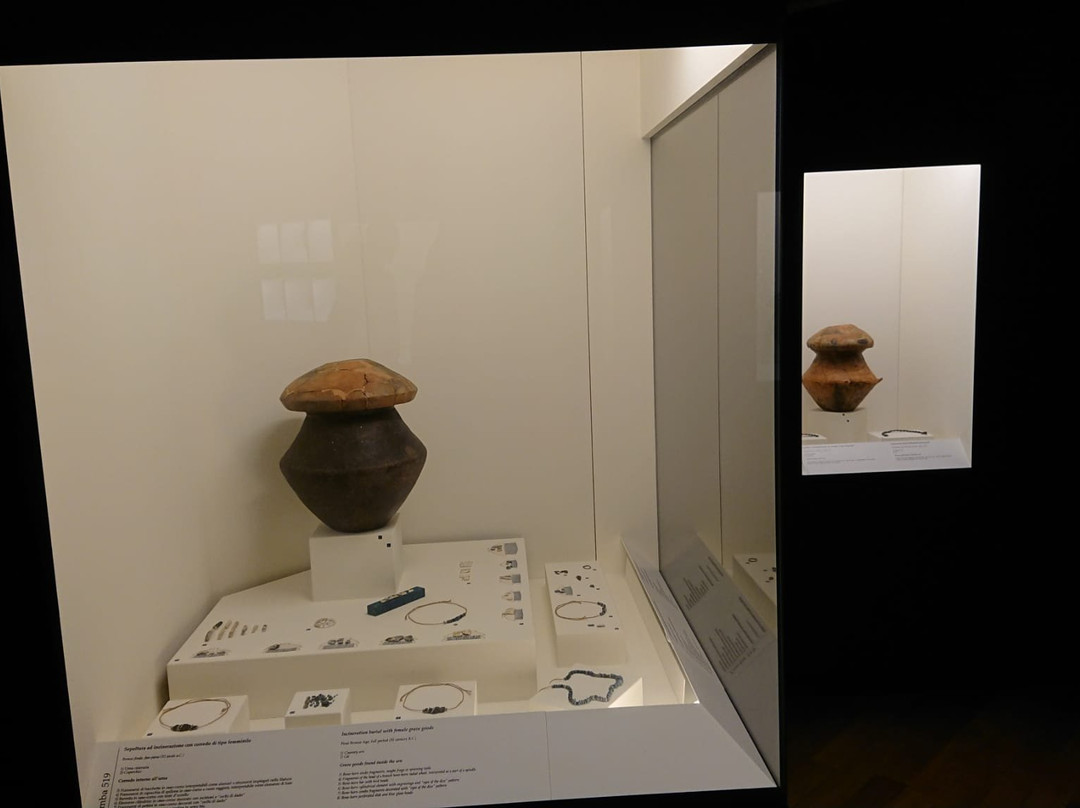 Museo Archeologico Nazionale di Fratta Polesine-Fratta Polesine必去景点
