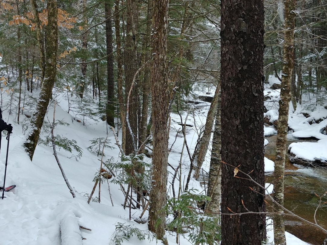 Welch Mountain Chalet Bed & Breakfast主图