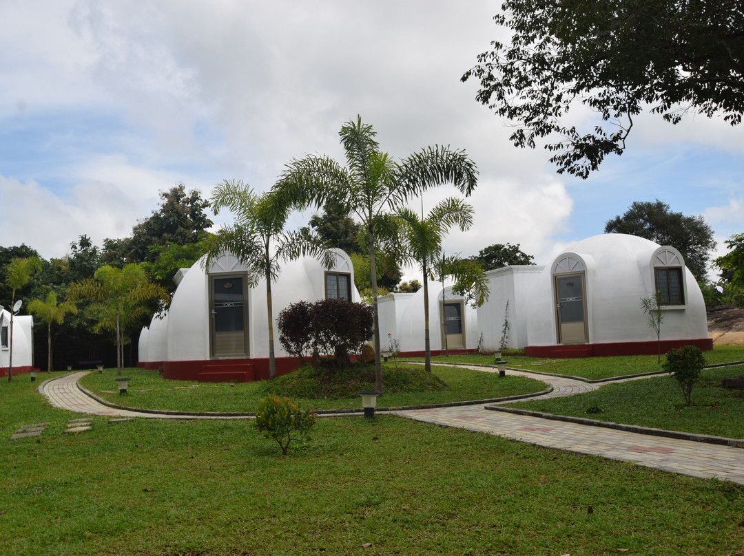 The Lion Kingdom主图