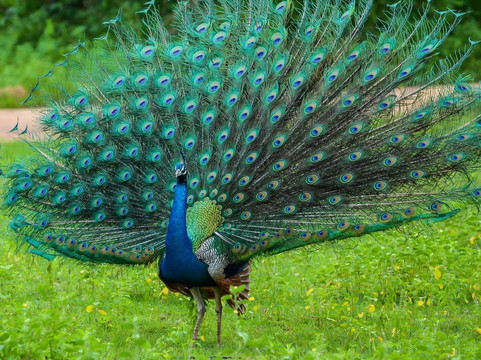 Lanka Wonder Tours-唐卡拉必去景点