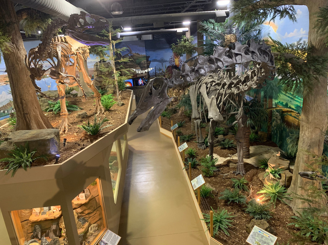 The Dinosaur Store景点图片