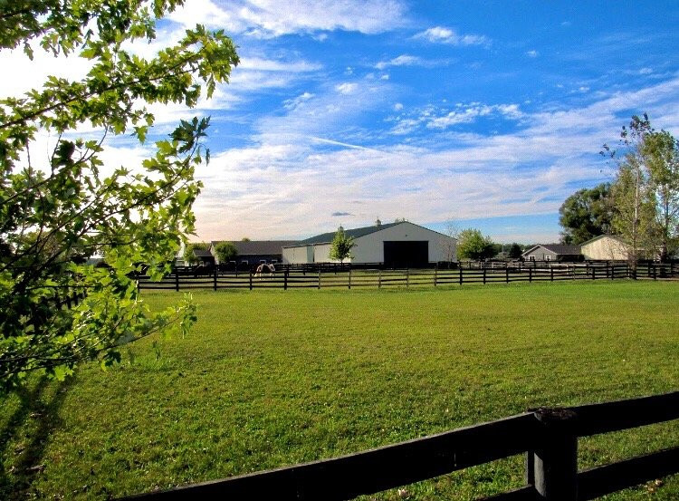 Golden Oak Equestrian Center景点图片