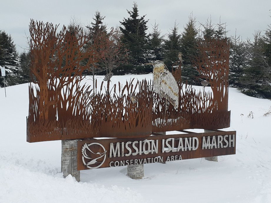 Mission Island Marsh Conservation Area景点图片