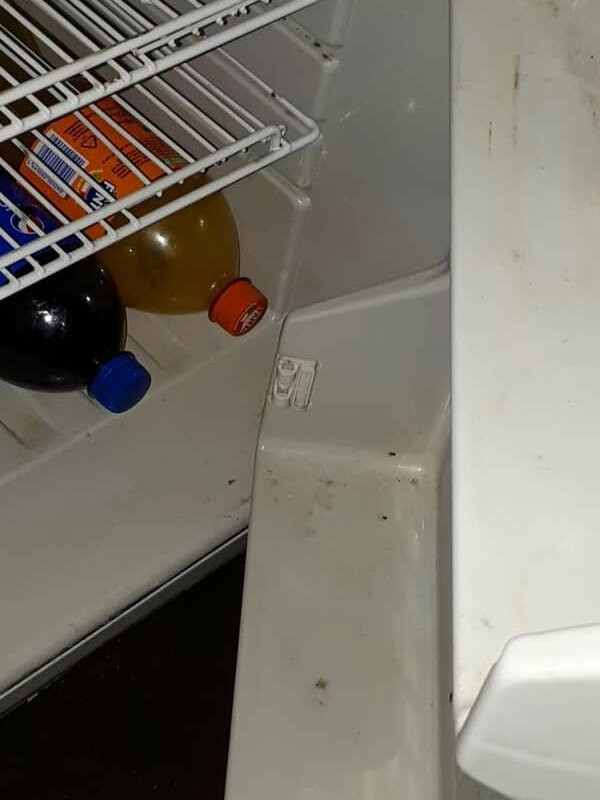 Conero Boat-安科纳必去景点