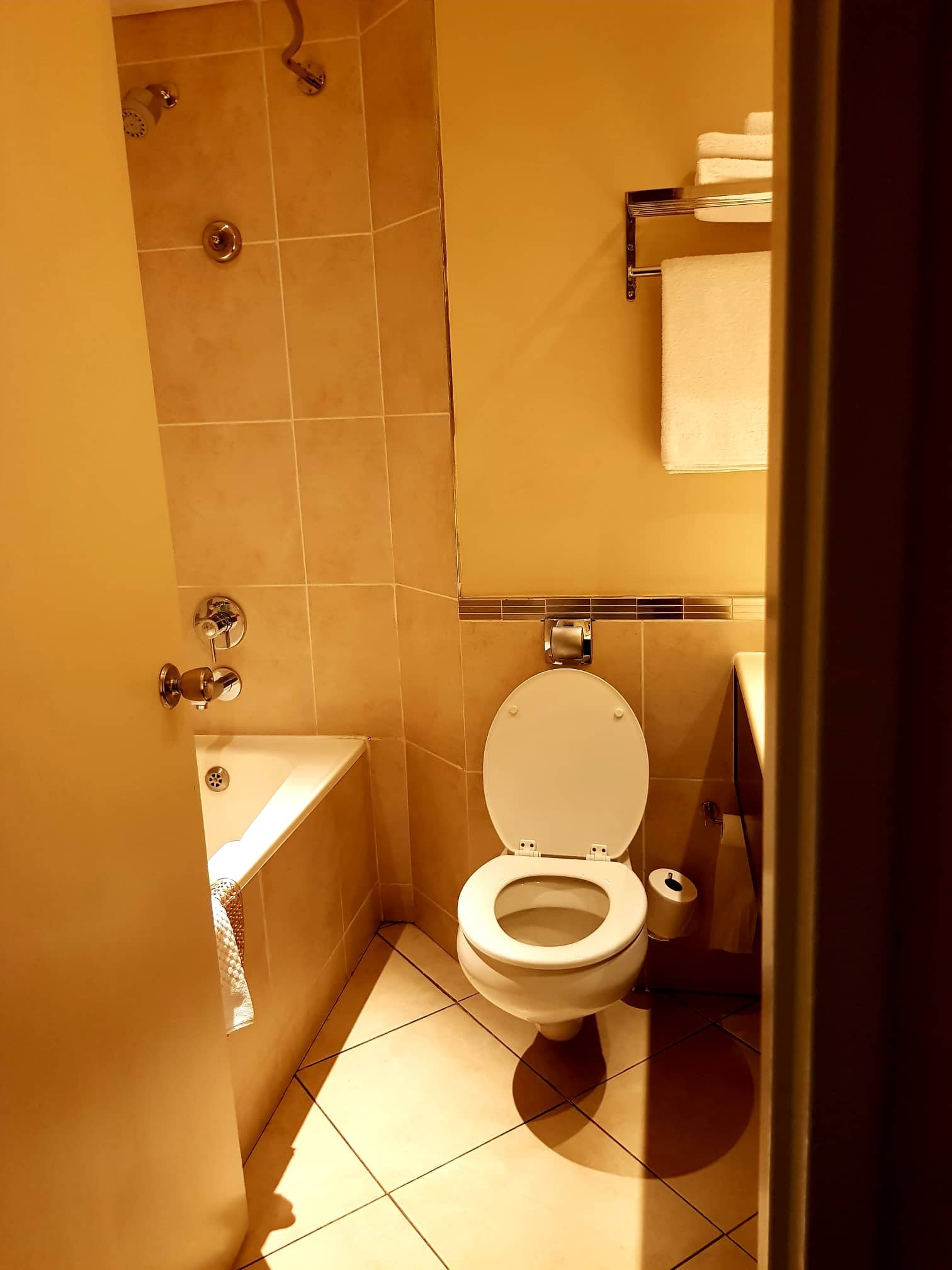 Southern Sun Pretoria-浴室