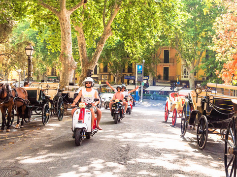 Loco Wheels-马洛卡帕尔马必去景点