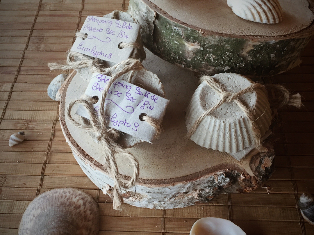 St Benoist-sur-Mer旅游攻略图片