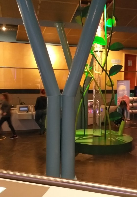 Nederlands Watermuseum-阿纳姆必去景点
