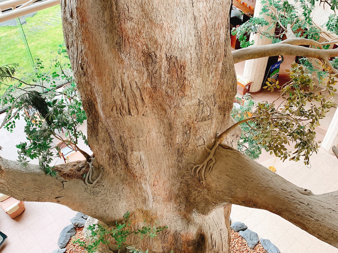 屋久岛岩崎酒店主图