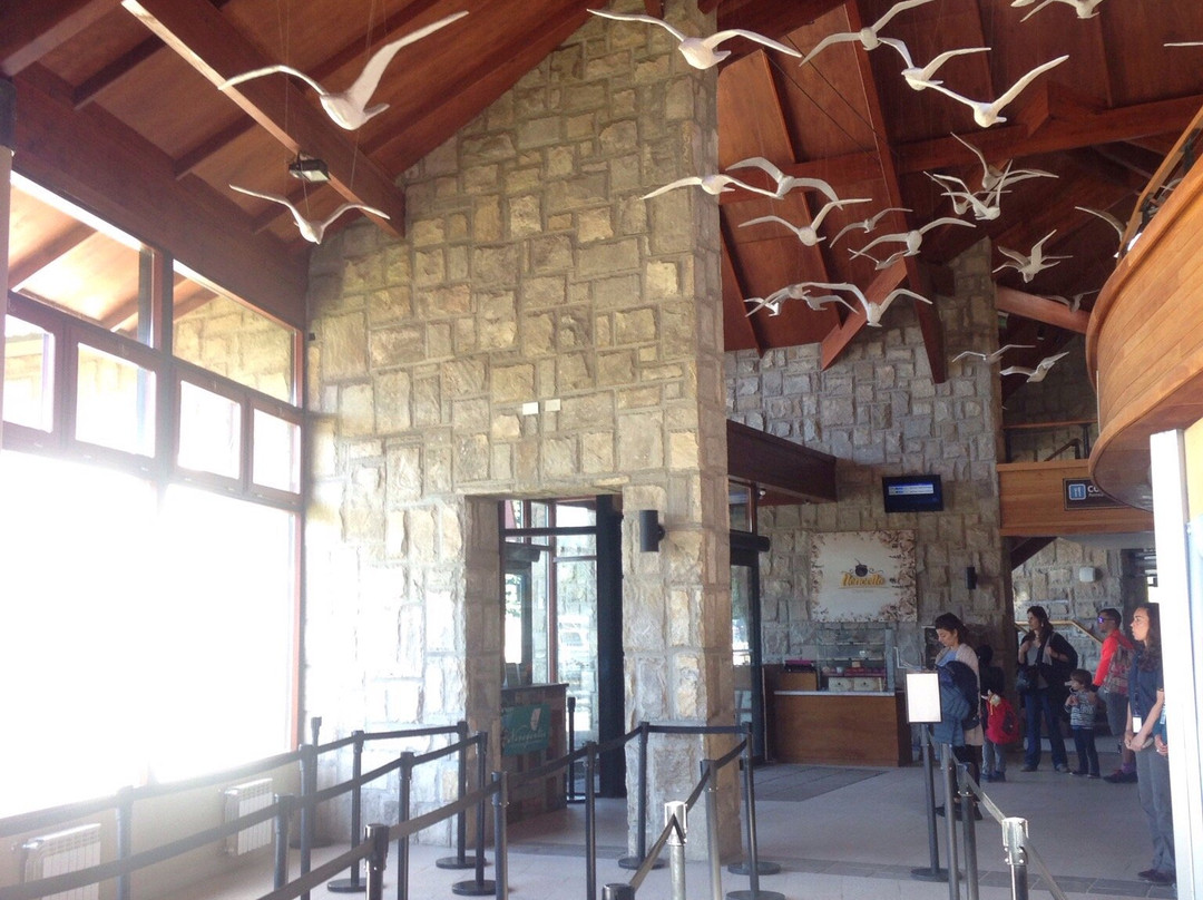 Puerto Pañuelo-圣卡洛斯-德巴里洛切必去景点