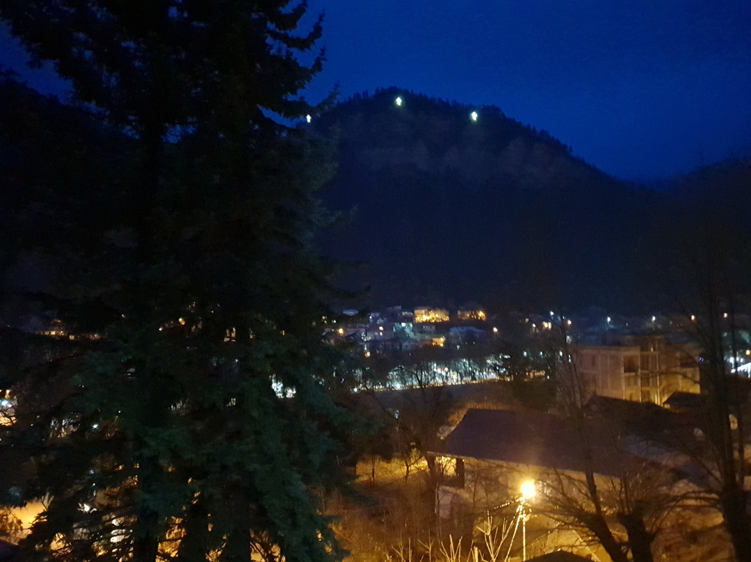 Borjomi Palace Hotel主图