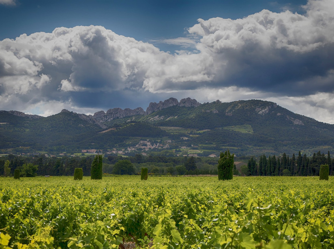 Dentelles De Montmirail景点图片