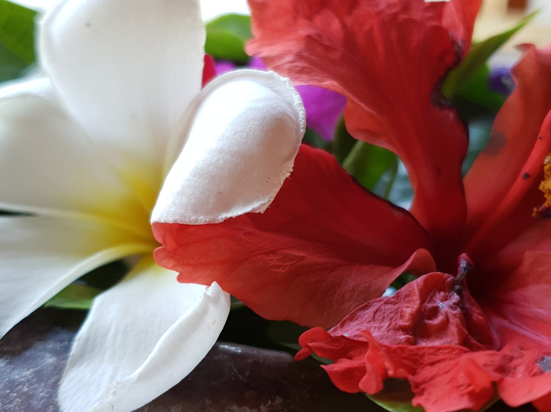 Pande Guest House主图