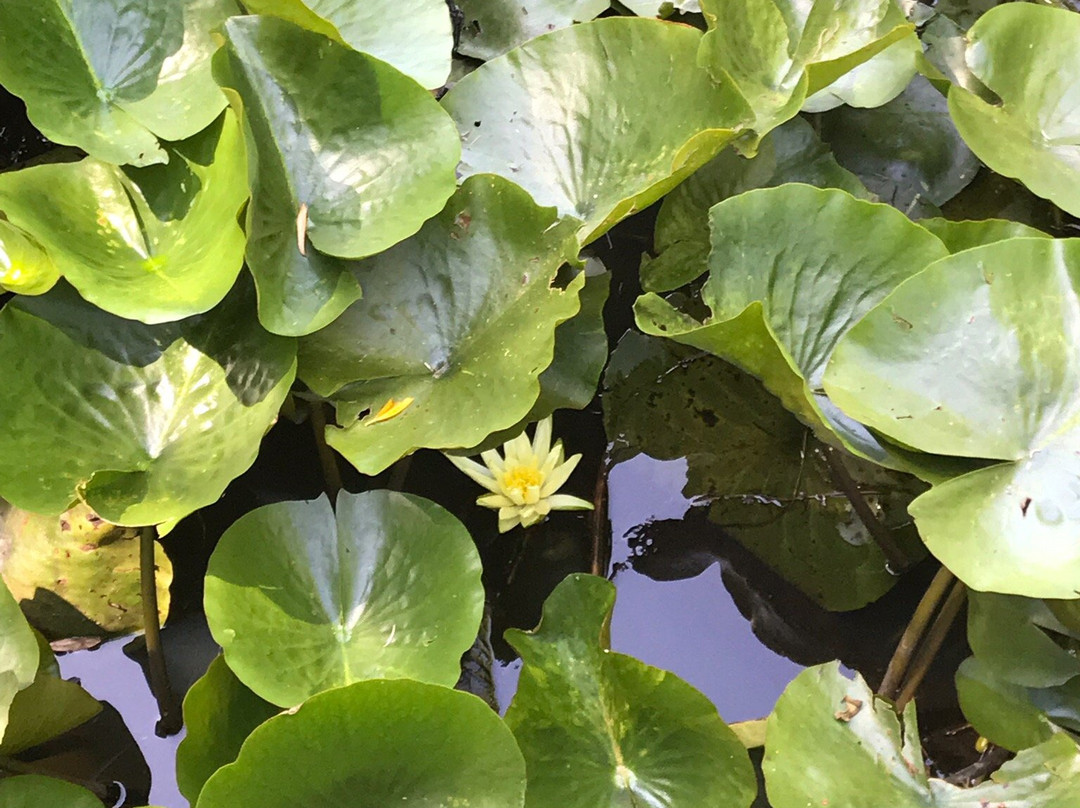 Christmas Hill Raspberry Farm-Elizabeth Town必去景点