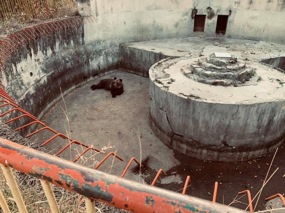 Zoo Bitola-Bitola必去景点