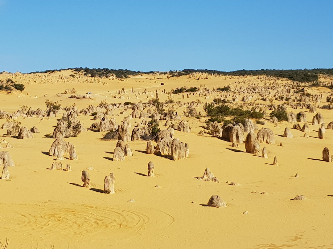 Pinanacles Desert-Nambung必去景点