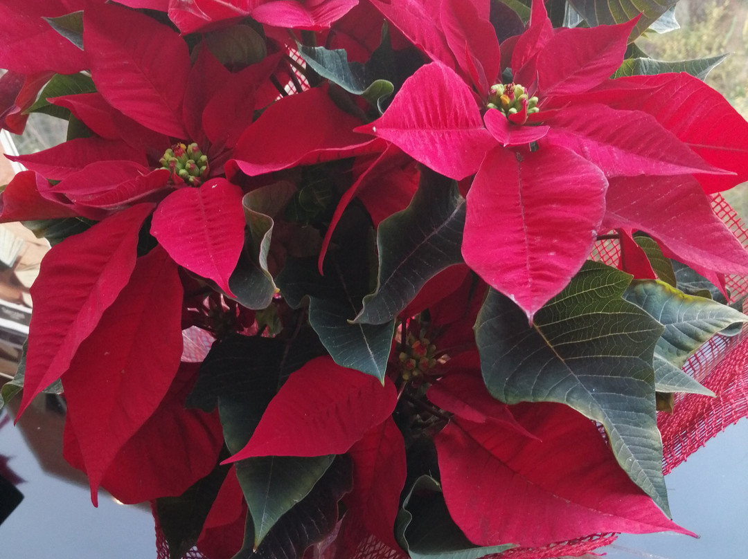 Sercotel Ciutat D'Alcoi主图