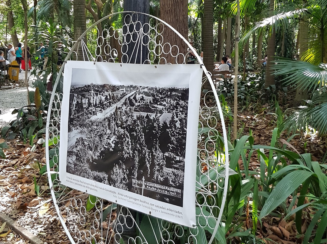 Tenente Siqueira Campos Park (Trianon)-圣保罗必去景点