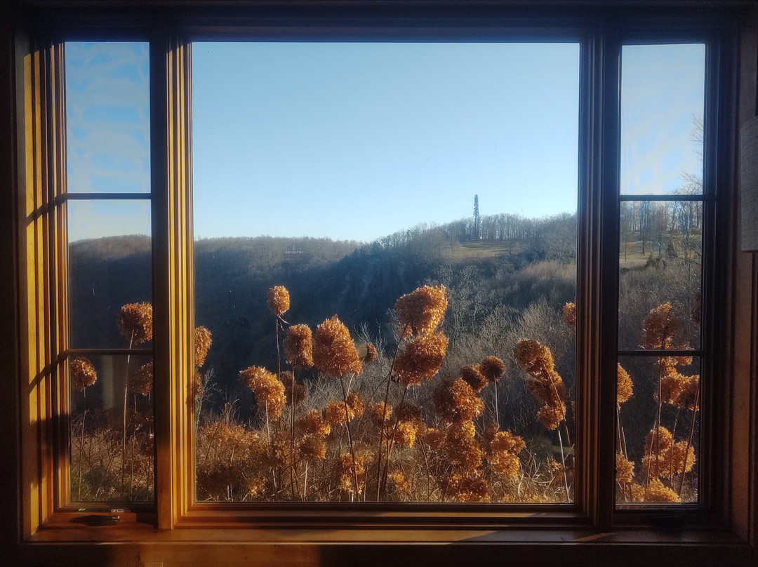 The Lodge at Primland, Auberge Collection主图