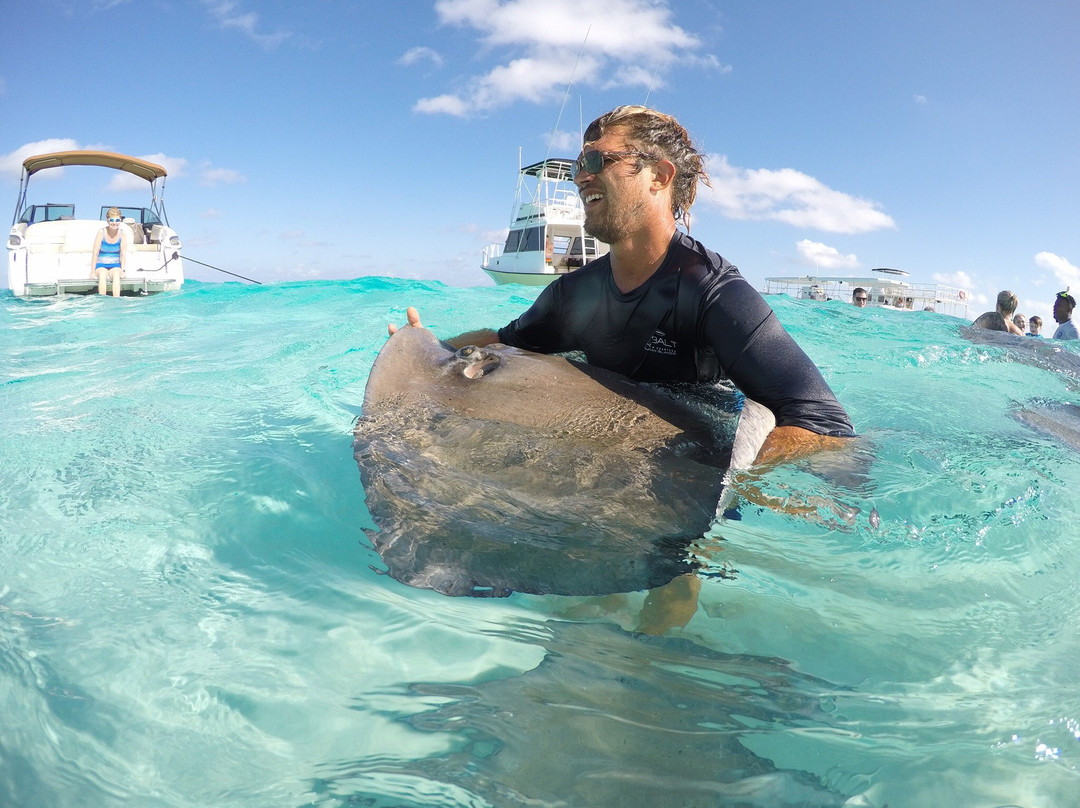 Cobalt Custom Charters-乔治城必去景点