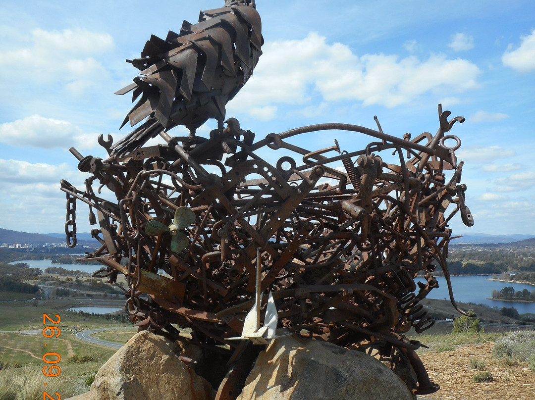 National Arboretum Canberra景点图片