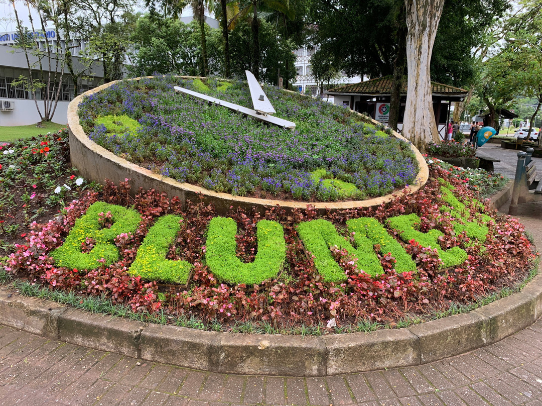 Blumenau City Hall景点图片