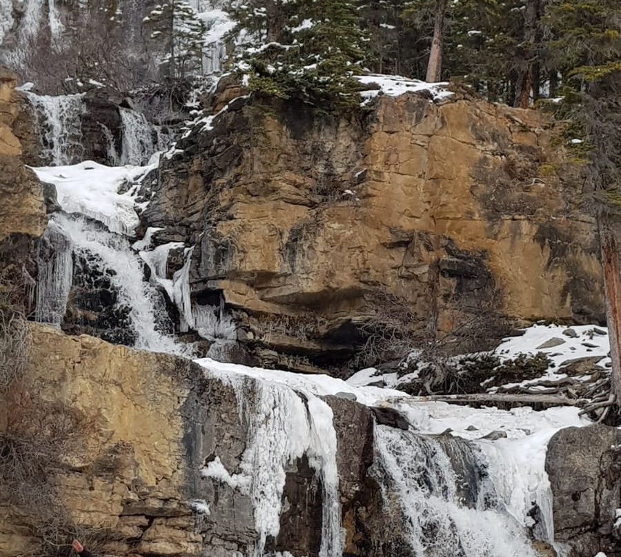 Tangle Creek Falls-贾斯珀国家公园必去景点