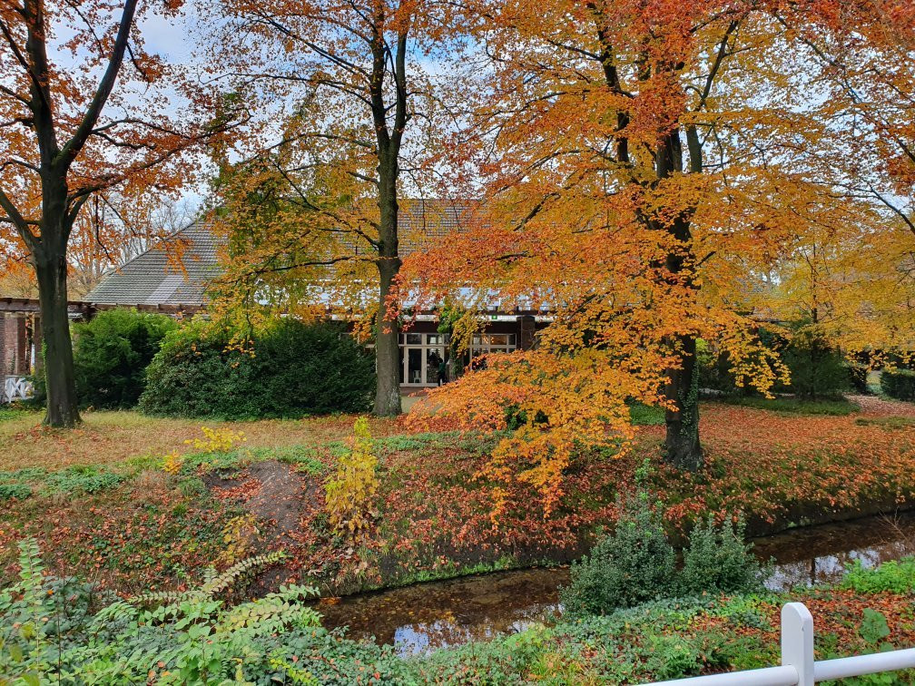 Châteauform' Schloss Krickenbeck主图