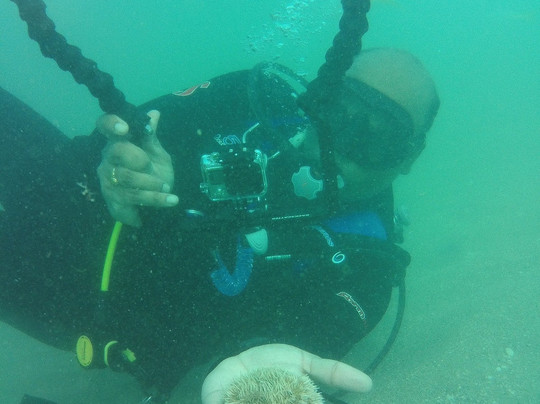 Caribe Aquatic Adventures-圣胡安必去景点