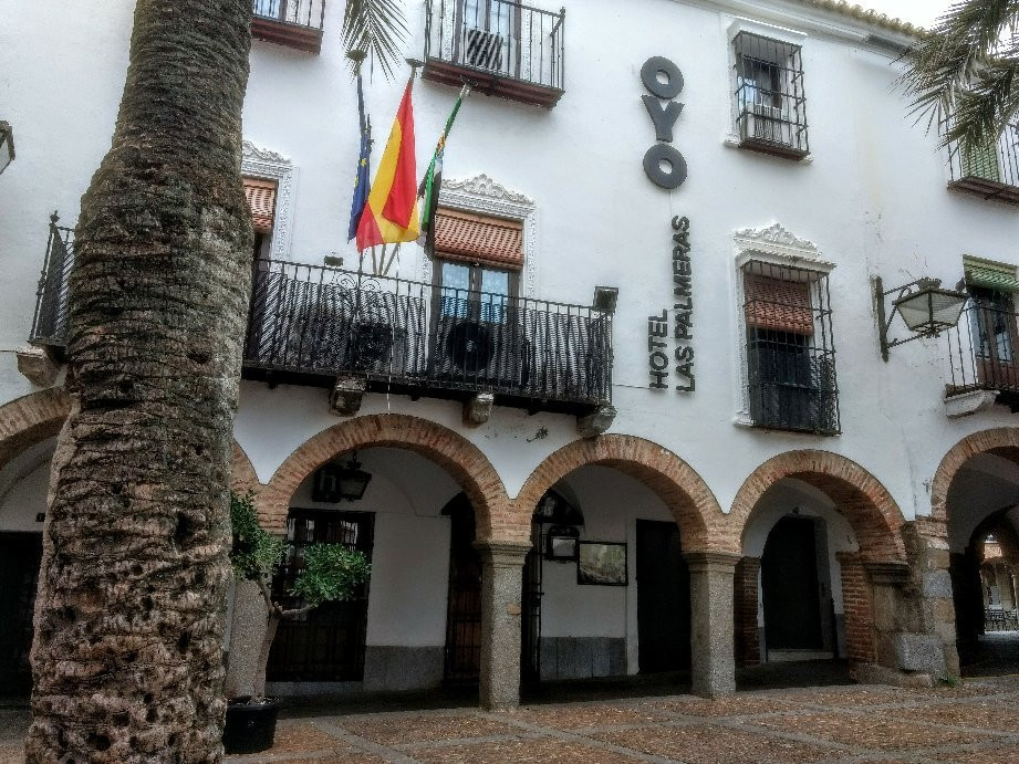 Hotel Las Palmeras by Vivere Stays主图