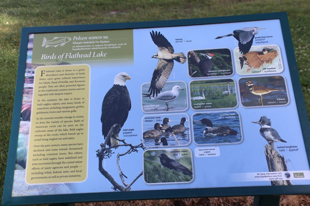 Sacajawea Park-Polson必去景点