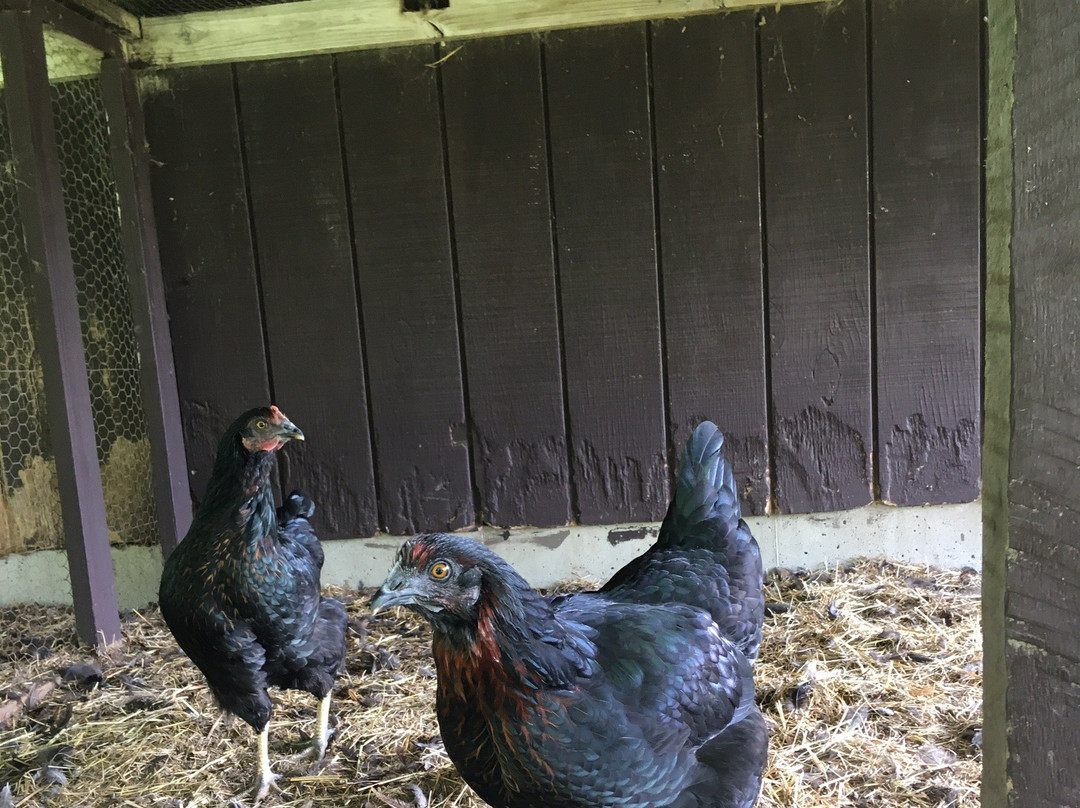 The Benedictine Monks ofWeston Priory-Weston必去景点