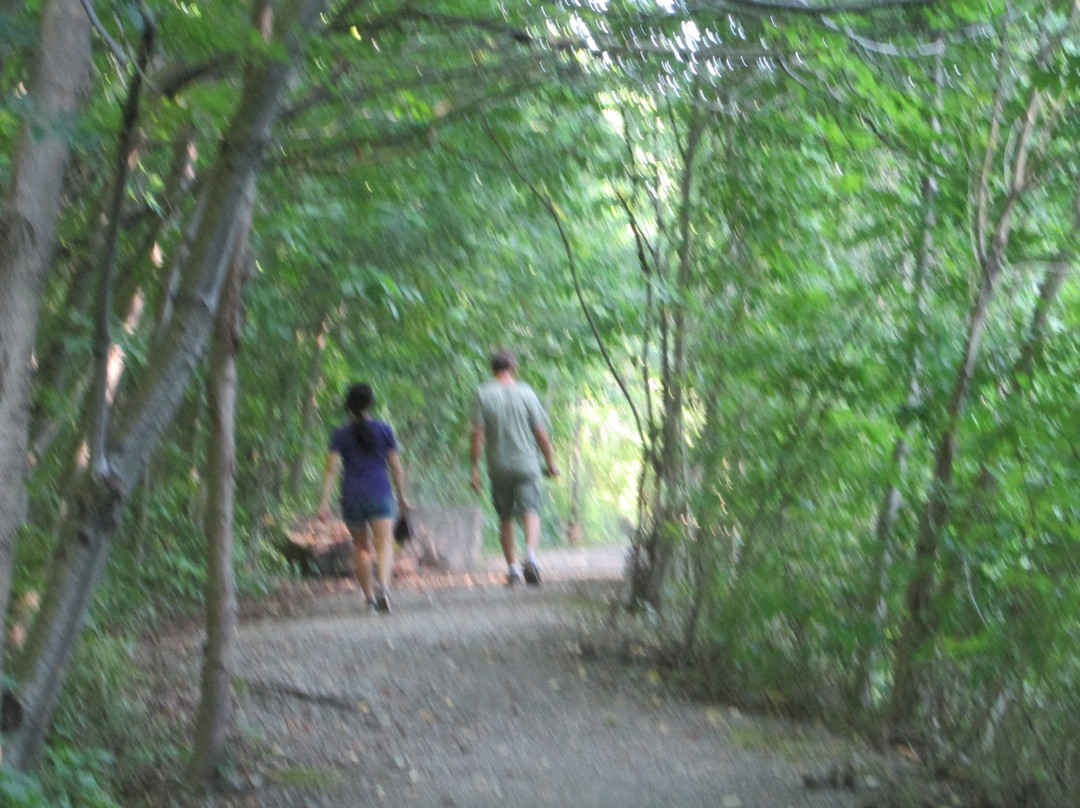 Artpark-Lewiston必去景点