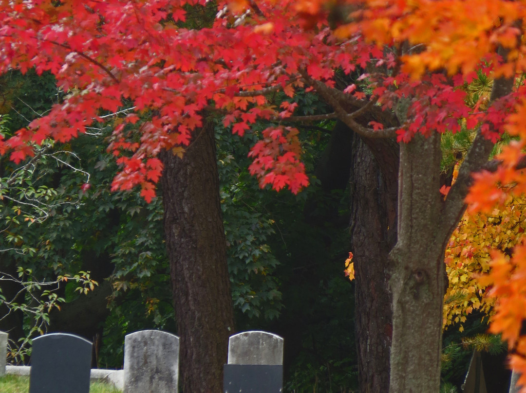 Western Cemetery景点图片