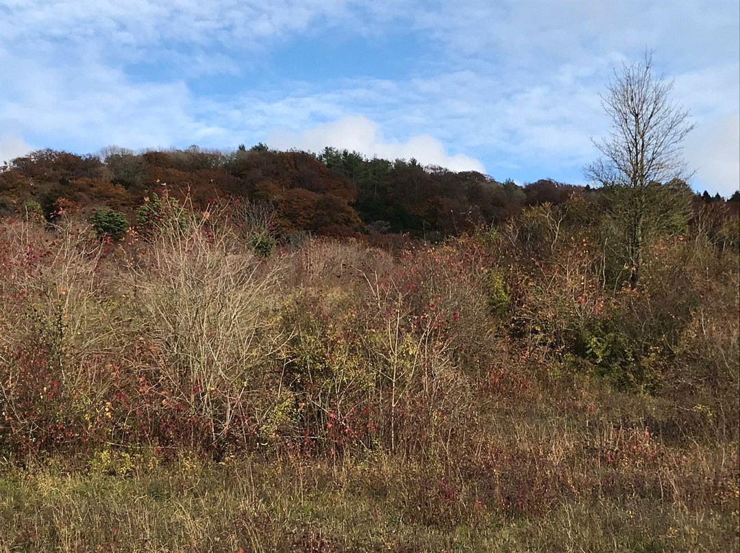 Grangelands and the Rifle Range景点图片