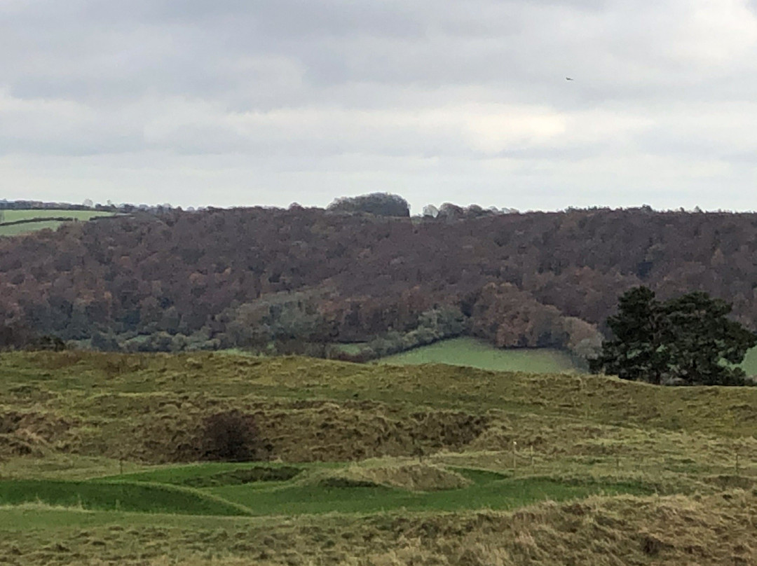 Painswick Beacon景点图片