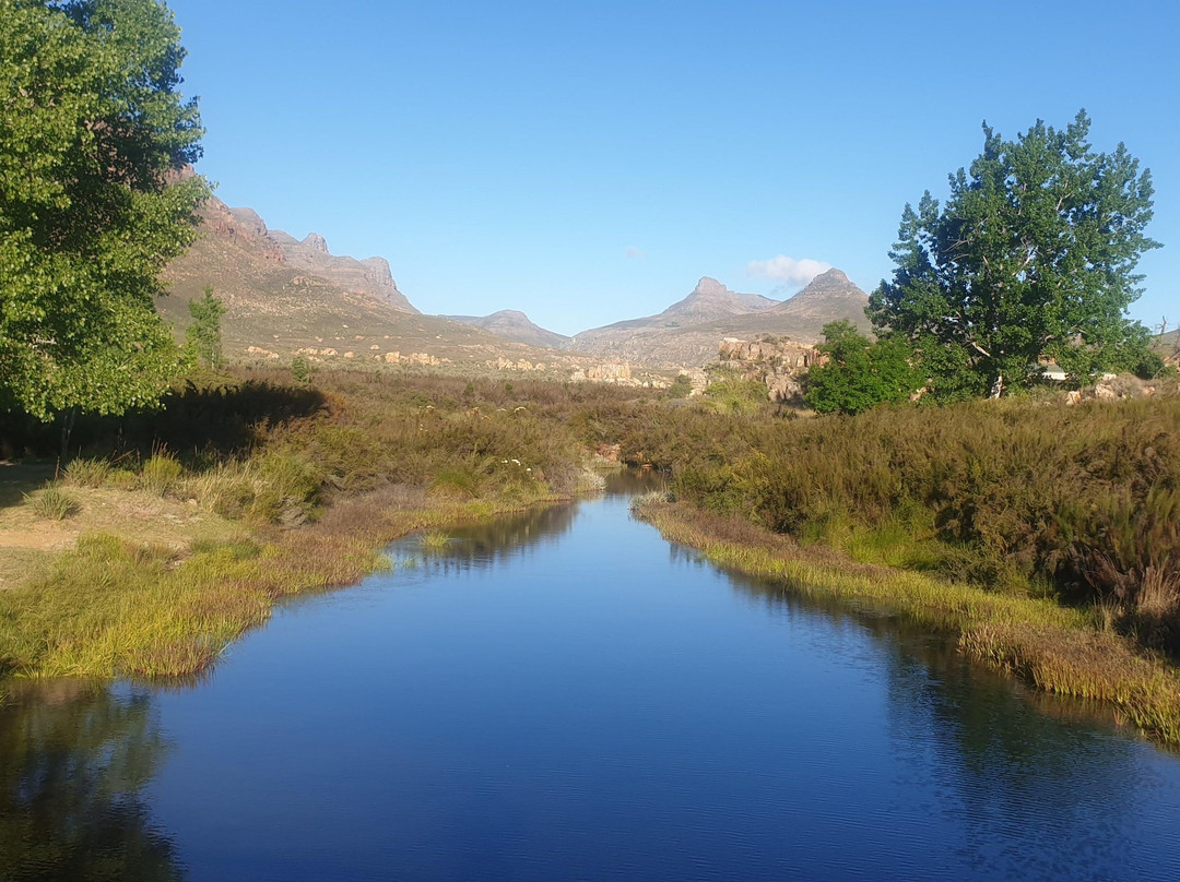 Vivid Bike Co-开普敦中心区必去景点