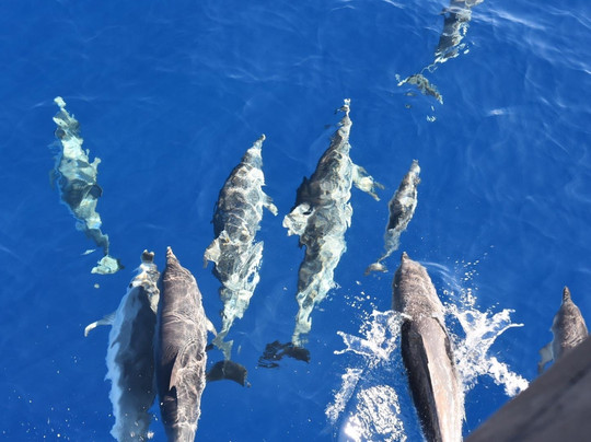 Santa Maria-沙尔必去景点